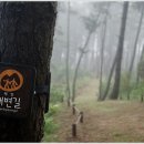 산들바농장 Daum카페