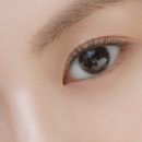 서울 쌍수 재수술 성형외과 발품 후기 - 1일차 (ㄹㅎ, ㅍㄹㅇㅂ, ㅇㅇㅌ)