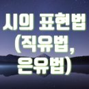 시창작강의 - (104) 비유, 다른 사물에 빗대자 - ① 비유의 전통/ 시인 공광규 이미지