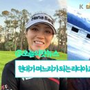 자매종합상사 이미지