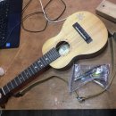 우쿨렐레(주말) 이미지