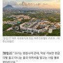 비행기/제주/돈까스 등등 잡다한 이야기 이미지