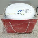 제이씨어린이집 | 지유가오카 초코케이크 DIY 즐거운 케이크만들기