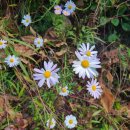 연한농장 이미지