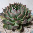 수경빨래방