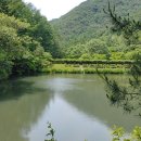 만인산자연휴양림 이미지