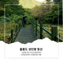 석포세탁 | 울릉도 성인봉 등산 - 나리분지에서 나리분지로. 도민만 아는 코스로 등산
