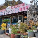 금수강산식당 이미지