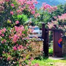 신숭겸장군유적지 이미지