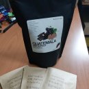 커피공방 | 통인동커피공방 과테말라 SHB 안티구아 필라델피아 후기｜산미 없는 진한 원두 추천