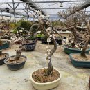 장백농장 이미지