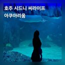 별빛수족관 | 호주 시드니 아쿠아리움 씨라이프 수족관 티켓 가격 예약 후기