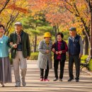 구립종로노인종합복지관 | 종로구 노인일자리 2026년 신청 방법 자격 급여 활동내용
