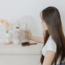 힐링버드 BEER-PDRN 맥주효모 탈모샴푸 &amp; 두피 트리트먼트 사용후기