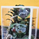 장수골 흑염소 이미지