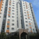 서구-02-02 이미지