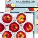 금계농장2 이미지