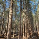 건지산숲속작은도서관 이미지