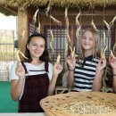 금산인삼 이미지