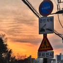 이수초등학교도서관 | 24년 4월