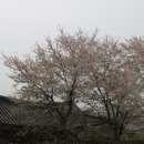 퇴로리 용현정사 이미지