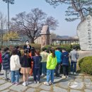 양성초등학교 이미지