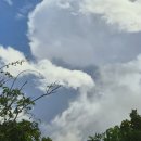 귀가 얇은 것에 이해는 되지만... 이미지