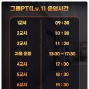 레이디폼 이미지