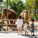 기린식당 이미지