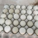 향수 농장 이미지