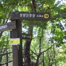 청룡공원 이미지