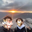 마운틴마트 LC타워점 | 발리 12박 15일 솔직후기_4일차_페더데일 동물원_킹스...전망대_블루마운틴 선셋&amp;별밤 투어_카툼바 마을...