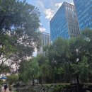 육일상사 | 9월 : 인생에 어떻게든 적응해보자