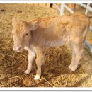 쉼터농장 이미지