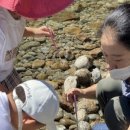 화개초병설유치원 이미지