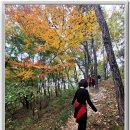 목포 유달산 둘레길 한바퀴 이미지