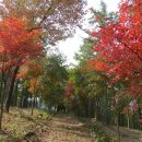 설매재자연휴양림 야영장 이미지