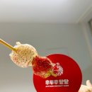 법인조이팜