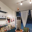 커몽커몽펫 이미지