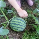 옛터농장 이미지