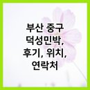 덕성 민박 | 부산 중구 덕성민박, 후기, 위치, 연락처
