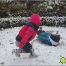 자연과아이들 이미지