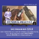 베이피움안산 이미지