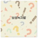 솔밭쉼터식당 | 보성녹차밭 대한다원 아이스크림 맛집 축제 숙소까지 깔끔 정보