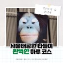 뒷골면옥 | [Oh글Trip #7] 서울대공원 나들이 루트 정리 | 맛집+카페까지