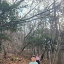 마복산주차장 | 전남 고흥 마복산 산행 후기, 고흥 기암 절경, 최단코스 총정리(23.12)