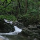 7.31운달산(1,097.2m) 용암산(龍岩山)이라고 부르기도하는 이 산은 기암괴석으로 여름철에는 조용한 곳을 찾는 피서객들이 찾아 온다. 이미지