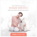 펫씨유