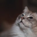 퍼스트동물병원 이미지
