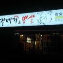 참갈매기&뽈살 이미지
